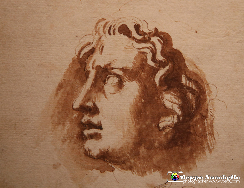 VBS_0062 - Mostra Nel segno di Raffaello.jpg